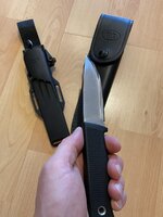 IMG_6020.jpeg