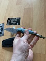 IMG_6029.jpeg