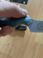 IMG_6032.jpeg