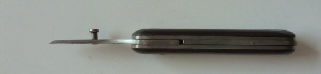 P1010338.JPG