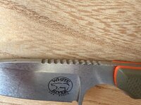 IMG_1499.jpeg