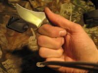 IMG_0455.jpg