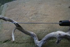 IMG_0010.jpg