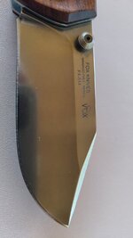 IMG_20250810_103130415.jpg