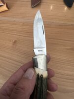 IMG_3152.jpeg