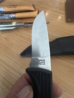 IMG_3155.jpeg
