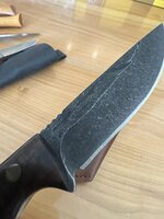IMG_3157.jpeg