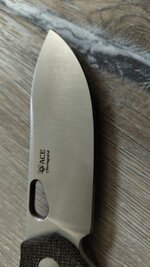 IMG_20250819_063918764.jpg
