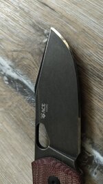 IMG_20250819_063840188.jpg