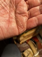 IMG_7493.jpeg