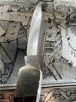 IMG_7462.jpeg