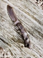 IMG_1538.jpeg