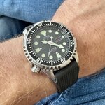 IMG_7308.jpeg