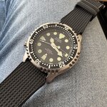 IMG_7304.jpeg