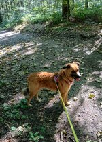 20250921_121821.jpg