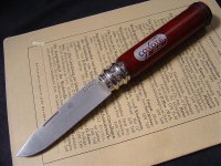 CoyoteC.jpg