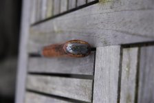 DSC_0052.jpg