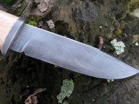 9a.jpg