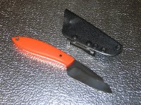 IMG_3370.jpg