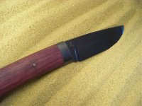 CIMG6884.jpg