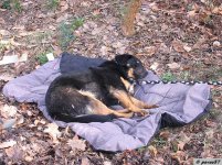 Claymore 29-03-2008  35.jpg
