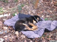 Claymore 29-03-2008  36.jpg