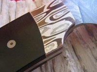 IMG_0798 (Medium).JPG