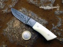 stienenD-Papke-4.jpg