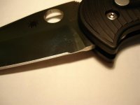 DSC05557 (Medium).JPG