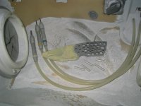 TUT50 (Medium).JPG