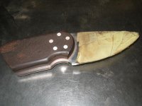 TUT62 (Medium).JPG