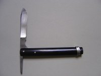 DSC04504.jpg