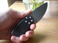 DSCN1303 (Medium).JPG