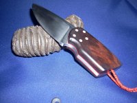 DSCN1308 (Medium).JPG