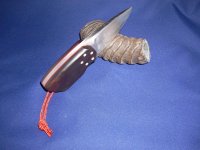 DSCN1321 (Medium).JPG