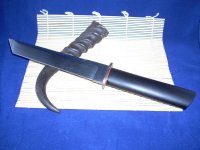 DSCN1333 (Medium).JPG