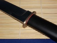 DSCN1337 (Medium).JPG