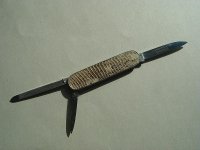 Schlangenleder1.jpg