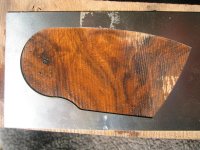 Nuss (Medium).JPG