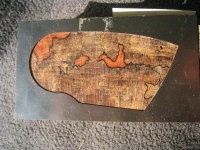 USA1 (Medium).JPG