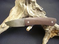 CIMG7652.jpg