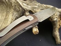 CIMG7656.jpg