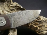 CIMG7657.jpg