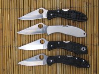 Delica Generationen 1-4 101 (Medium).JPG