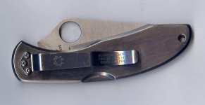 Delica 1.jpg