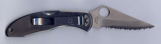 Delica 2.jpg