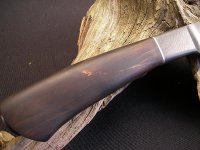 SANY0115.jpg