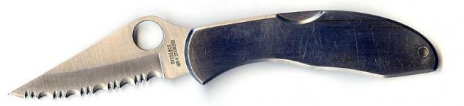 Delica 3.jpg