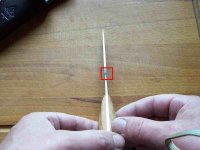 000_1602-mf7.jpg