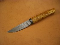 maserbirke1.jpg